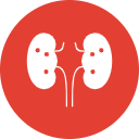Acute Kidney Failure
