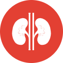 Chronic Kidney Disease